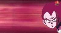 /album/fotogaleria/vegeta-ova-4-jpg/